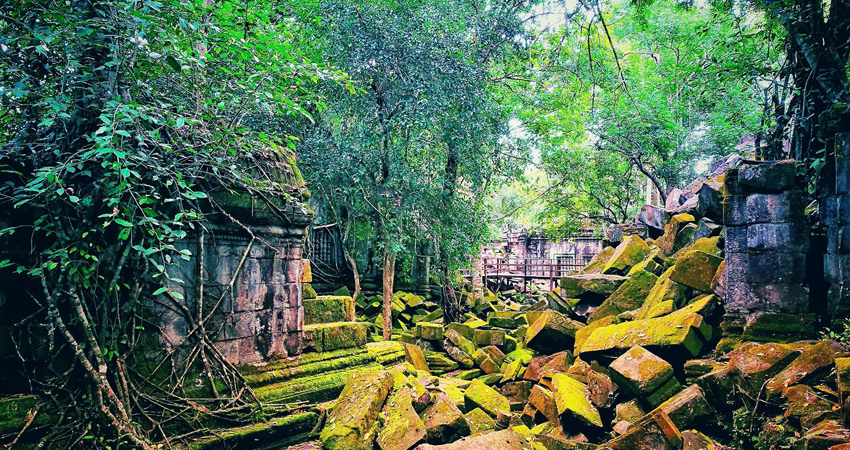 Beng Mealea Temple Tours