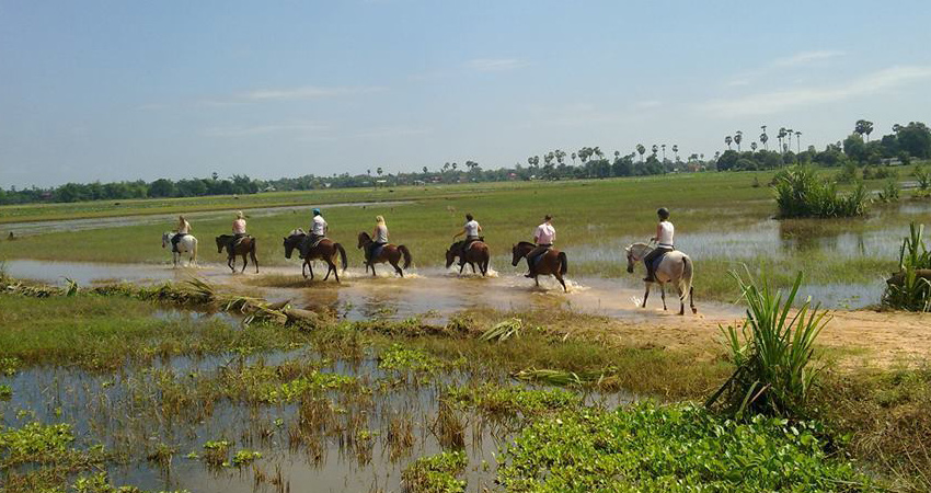 Angkor Horse Riding