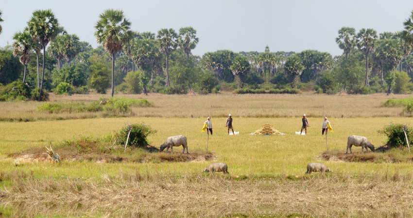 Kampong Sne Damp - Prey Veng