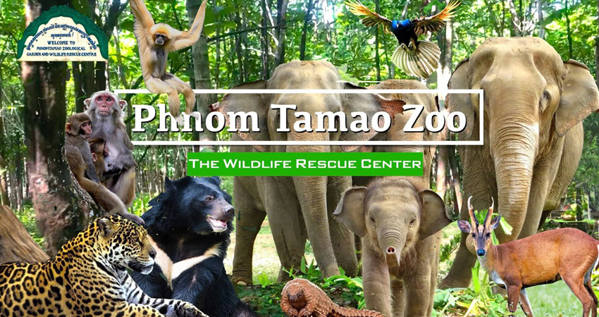Phnom Tamao - Tonle Bati & Phnom Chisor tour 1Day
