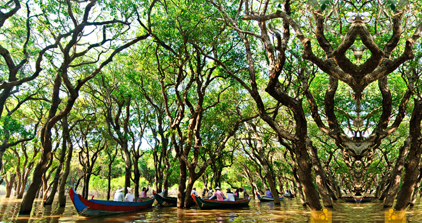 Tonle Sap Lake and Kampong Phluk Half-Day Tours from Siem Reap