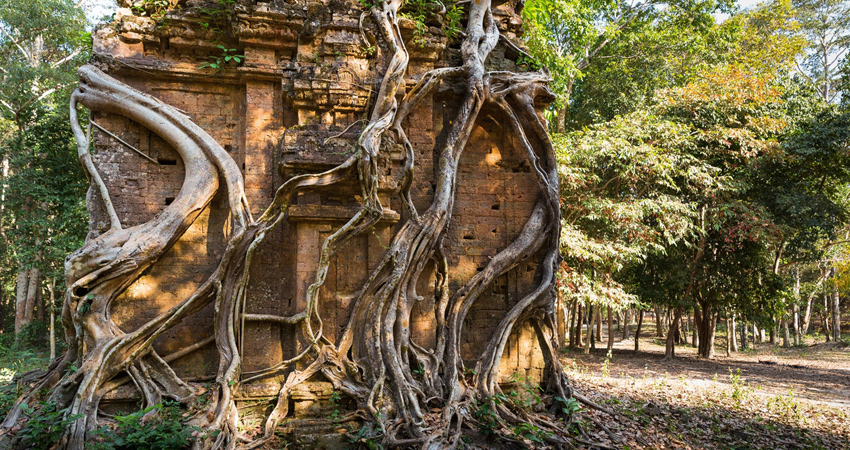 Sambor Prei Kuk - Kratie - Kompong Cham tour 3Days