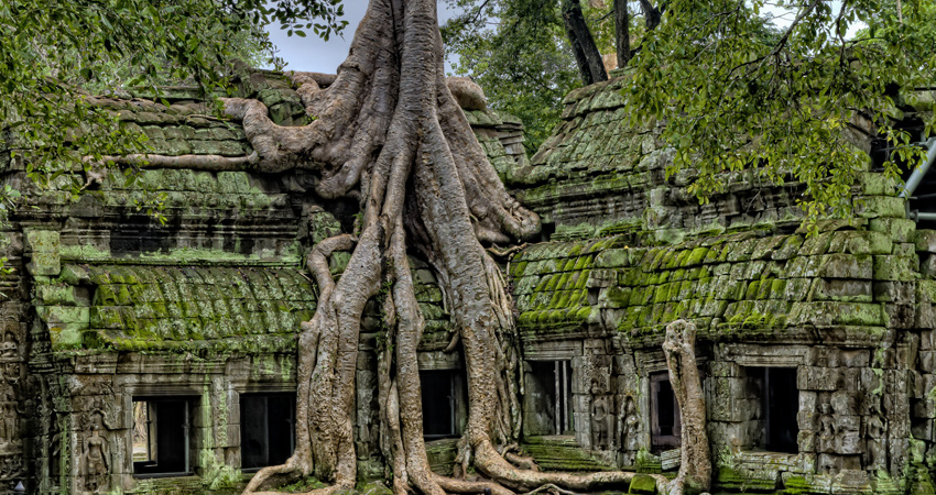 Ta Prohm and Banteay Srei Temples - Private Tour from Siem Reap