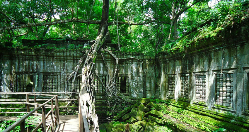 Koh Ker and Beng Mealea Remote Temples Day Tours from Siem Reap