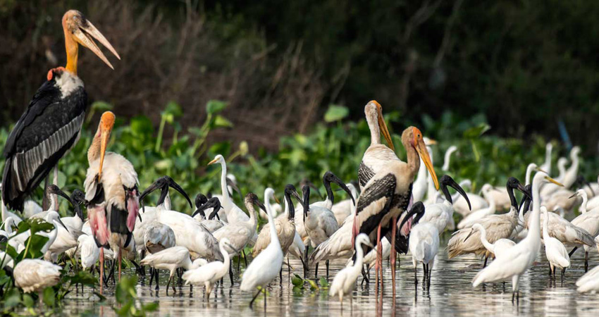 Tonle Sap Lake Adventure 14Days-13Nights