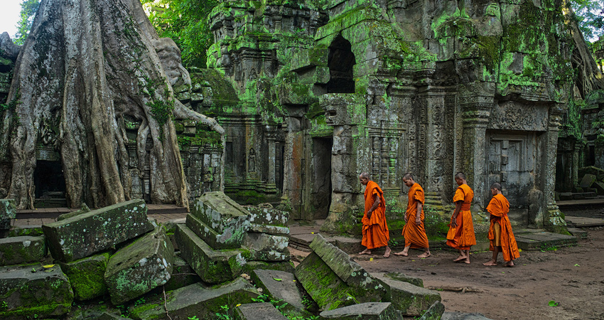 Ta Prohm and Banteay Srei Temples - Private Tour from Siem Reap