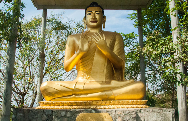 Gold Buddha Hill