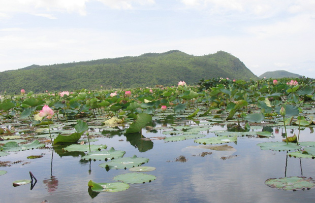 Kamping Puoy Lake