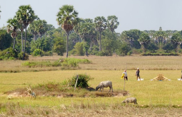 Kampong Sne Damp - Prey Veng