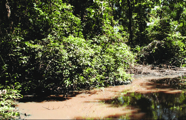 Kantuy Ko - Stung Treng