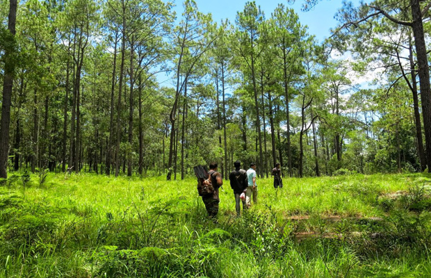 Kirirom Hillside Kampong Speu