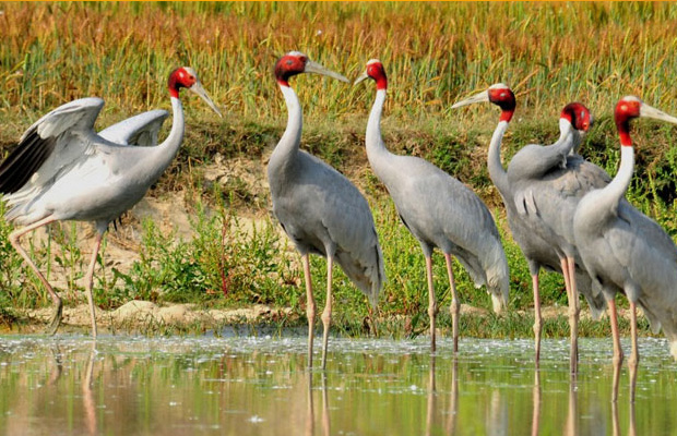 Tonle Sap Lake Adventure 14Days-13Nights