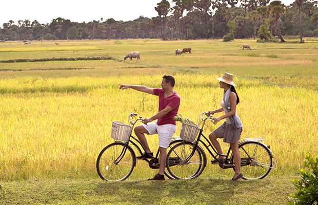 Countryside by bike tour 1Day