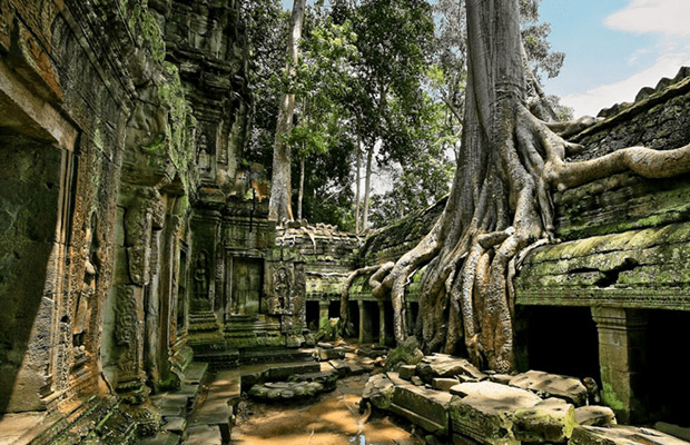 Ta Prohm Temple